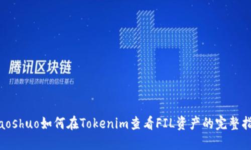 xiaoshuo如何在Tokenim查看FIL资产的完整指南