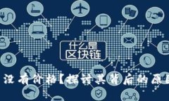 : Tokenim币没有价格？探讨