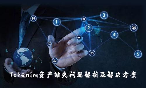 Tokenim资产缺失问题解析及解决方案