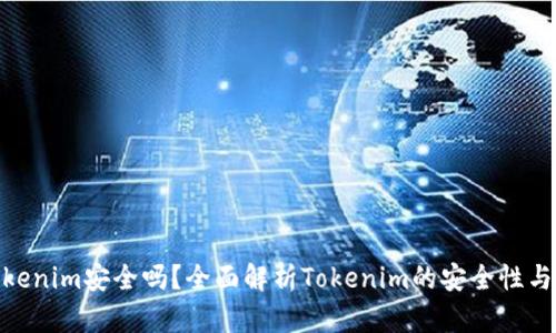 放Tokenim安全吗？全面解析Tokenim的安全性与风险