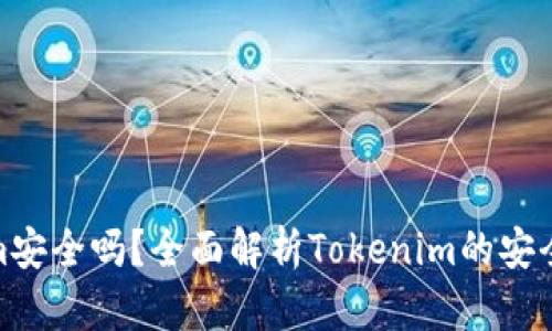 放Tokenim安全吗？全面解析Tokenim的安全性与风险