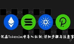 如何在Tokenim中导入私钥：