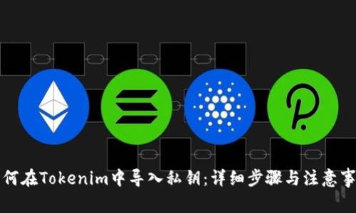 如何在Tokenim中导入私钥：详细步骤与注意事项