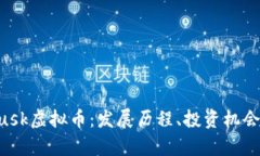 全面解析Musk虚拟币：发展