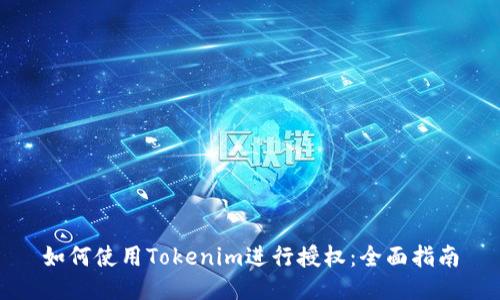 如何使用Tokenim进行授权：全面指南