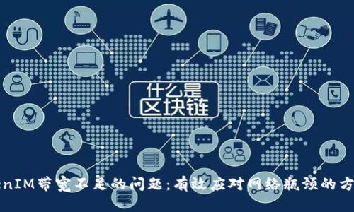 解决TokenIM带宽不足的问题：有效应对网络瓶颈的方法与策略