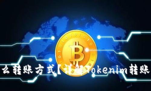Tokenim是什么转账方式？详解Tokenim转账的特点与应用
