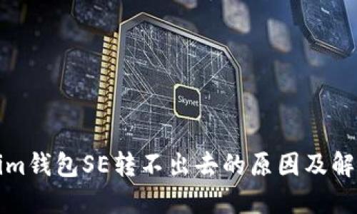 Tokenim钱包SE转不出去的原因及解决办法