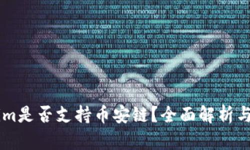 ### Tokenim是否支持币安链？全面解析与未来发展展望