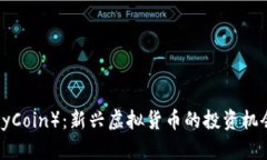 泰迪币（TeddyCoin）：新兴