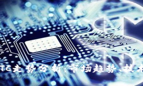 2023年虚拟币BTC走势分析：市场趋势、技术指标与未来展望