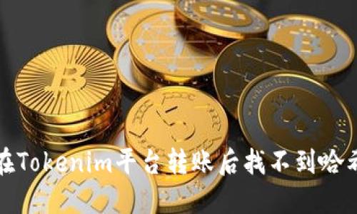 如何解决在Tokenim平台转账后找不到哈希值的问题