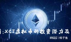 深度解析：XCT虚拟币的投