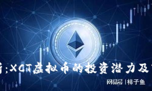 深度解析：XCT虚拟币的投资潜力及市场前景
