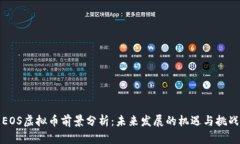 EOS虚拟币前景分析：未来