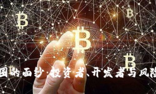 揭开虚拟币圈的面纱：投资者、开发者与风险的多重视角