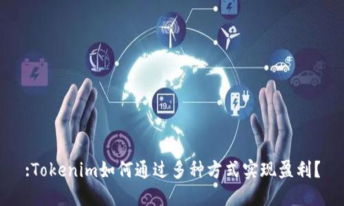 :Tokenim如何通过多种方式实现盈利？