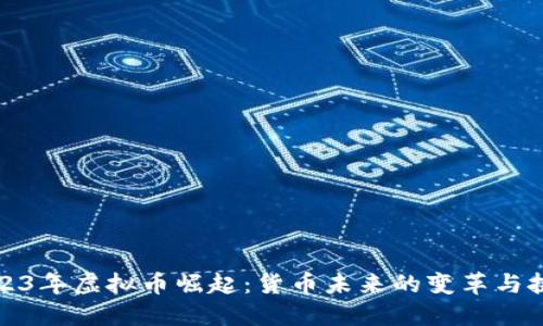 2023年虚拟币崛起：货币未来的变革与挑战