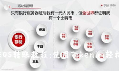 详细解读EOS转账教程：使用Tokenim轻松完成转账