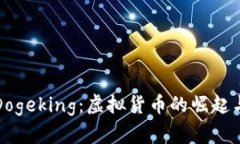 深入了解Dogeking：虚拟货币
