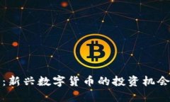 鱿鱼虚拟币：新兴数字货