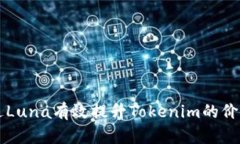 如何通过Luna有效提升Tok