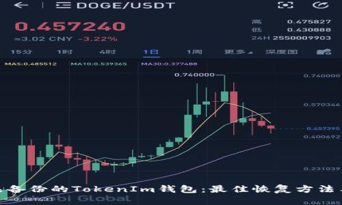 如何处理未备份的TokenIm钱包：最佳恢复方法与预防措施