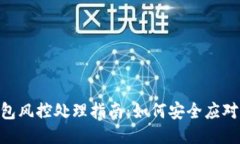 Tokenim钱包风控处理指南：