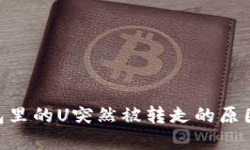 Tokenim钱包里的U突然被转走的原因及解决方案