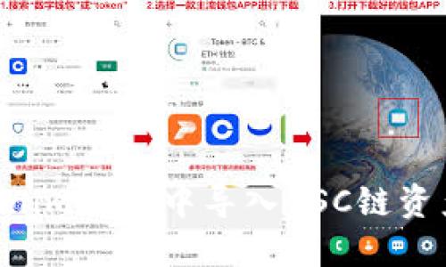 如何在Tokenim钱包中导入BSC链资产：详细指南