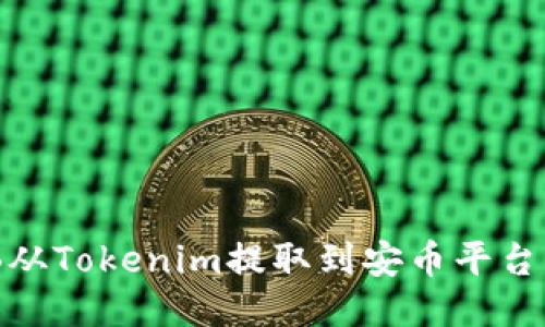 如何将BNB从Tokenim提取到安币平台的详细指南