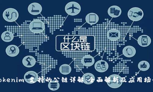 Tokenim 支持的公链详解：全面解析及应用场景