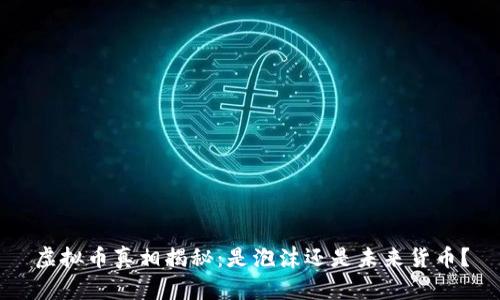 虚拟币真相揭秘：是泡沫还是未来货币？