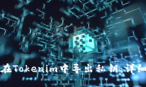 如何在Tokenim中导出私钥：详细指南
