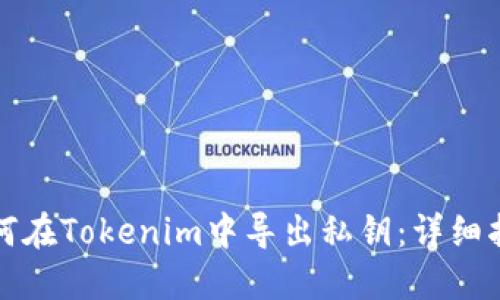 如何在Tokenim中导出私钥：详细指南