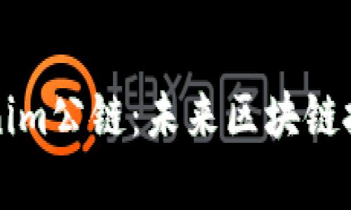 深入解析Tokenim公链：未来区块链技术的中坚力量
