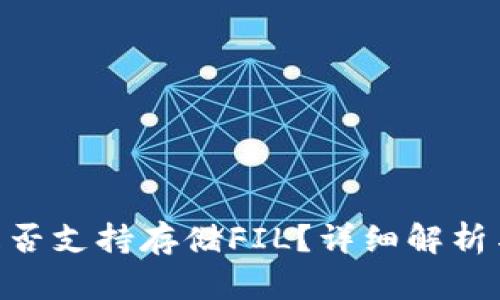 Tokenim是否支持存储FIL？详细解析与使用指南