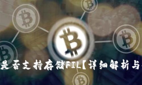 Tokenim是否支持存储FIL？详细解析与使用指南