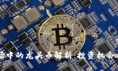 虚拟币市场中的龙头币解