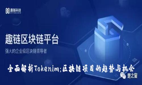 全面解析Tokenim：区块链项目的趋势与机会
