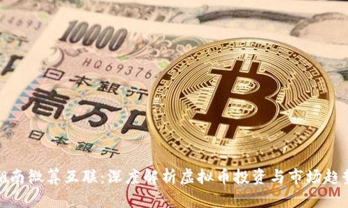 湖南微算互联：深度解析虚拟币投资与市场趋势