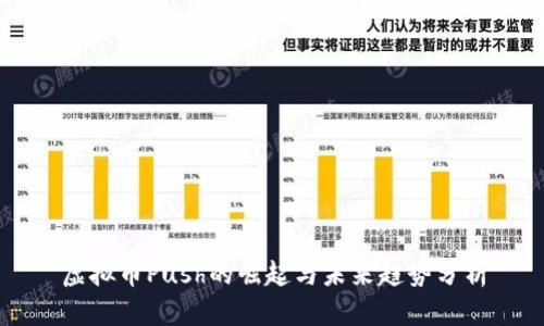 虚拟币Push的崛起与未来趋势分析