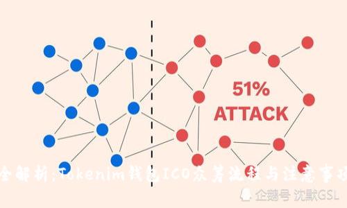 全解析：Tokenim钱包ICO众筹流程与注意事项