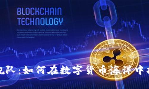 虚拟币舰队：如何在数字货币海洋中扬帆起航