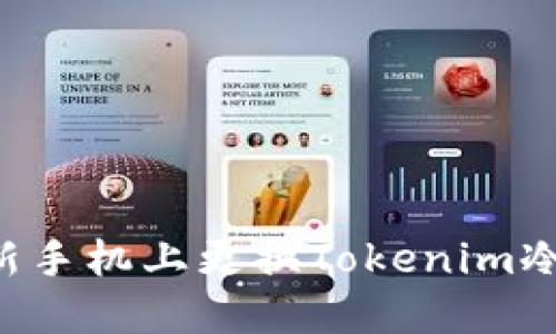 如何安全地在新手机上更换Tokenim冷钱包：全面指南