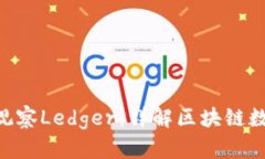 使用Tokenim观察Ledger：详解