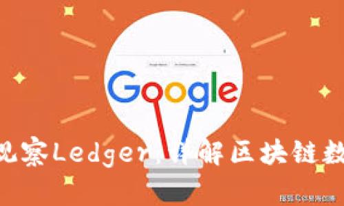 使用Tokenim观察Ledger：详解区块链数据分析与管理