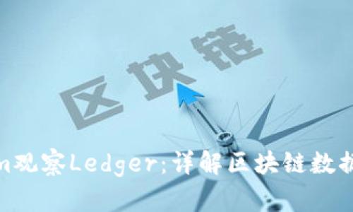 使用Tokenim观察Ledger：详解区块链数据分析与管理