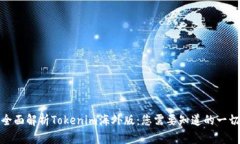 全面解析Tokenim海外版：您