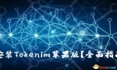 如何安全下载和安装Toke